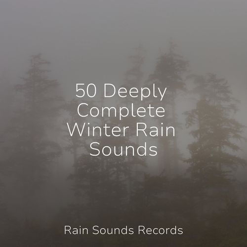 50 Deeply Complete Winter Rain Sounds