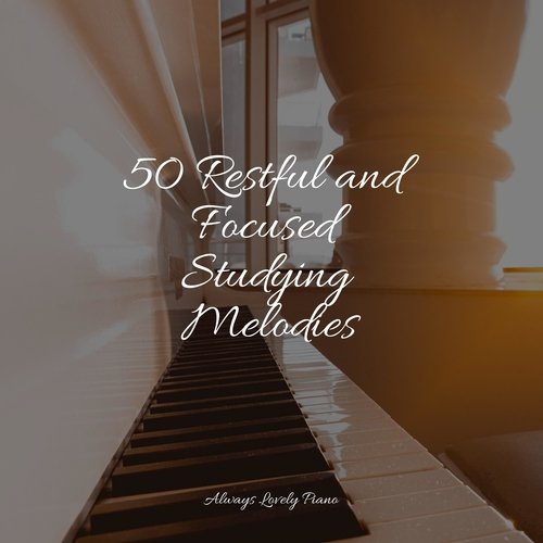 50 Restful and Focused Studying Melodies