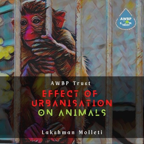 Effect of Urbanisation on Animals (Flute Instrumental) [feat. Ashish Venkateswaran, Sankararaman Krishnamoorthi, T V Sukanya, Sivaramakrishna K R & Anish Mohan]