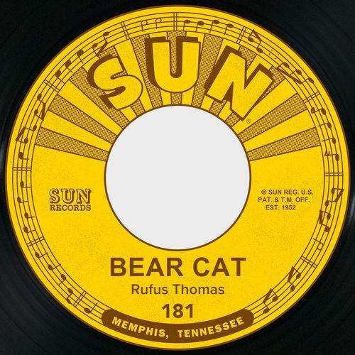 Bear Cat cover art