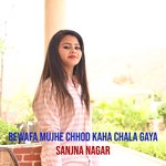 Bewafa Mujhe Chhod Kaha Chala Gaya