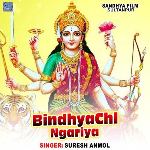 Bindhya Chl Ngariya