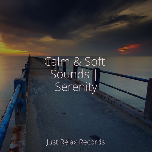 Calm & Soft Sounds | Serenity