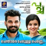 Chenthamara Chellulla Penne