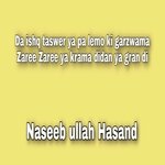 Da ishq taswer ya pa lemo ki garzwama Zaree Zaree ya krama didan ya gran di