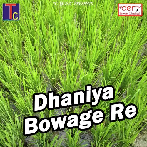 Dhaniya Bowage Re_poster_image