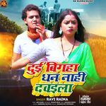 Dui Bigaha Dhan Nahi Davaila