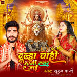 Dulha Chahi Army Lover Ye Mai