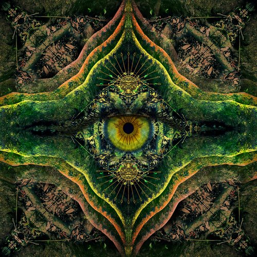 Feathered Serpent (Savej Remix) cover art
