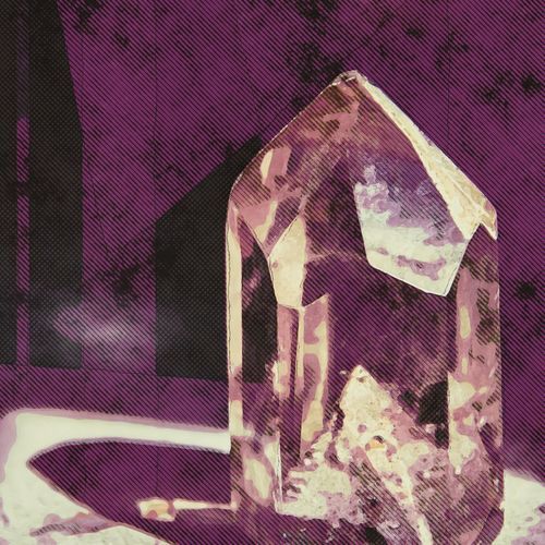 Zelus cover art