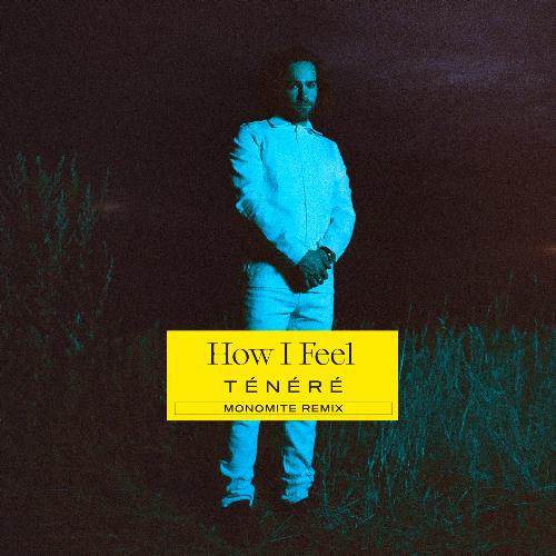 How I Feel (Monomite Remix)_poster_image