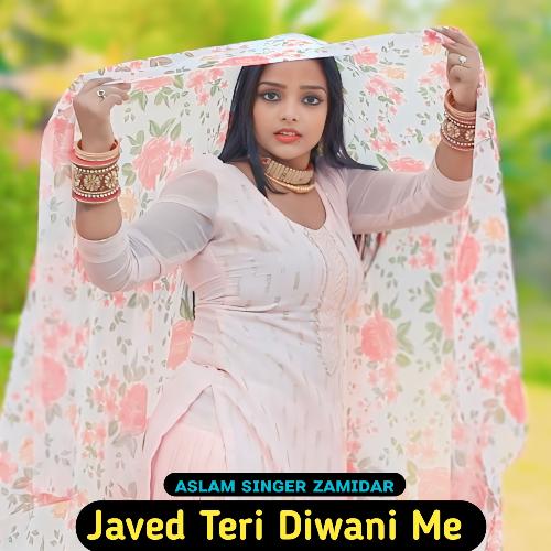 Javed Teri Diwani Me