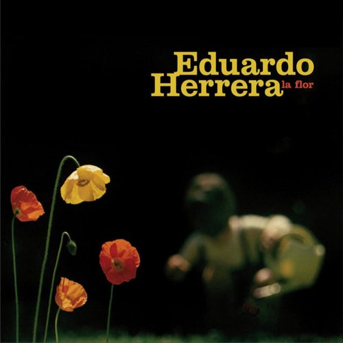 Sobrevuelo cover art