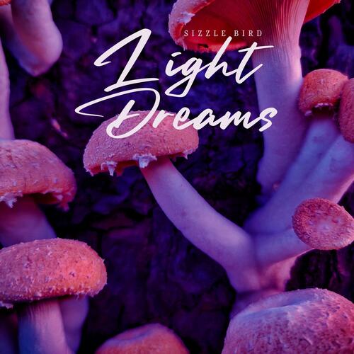 Light Dreams