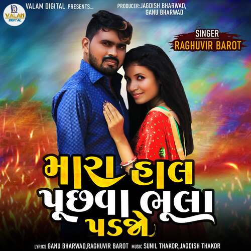 Mara Haal Puchhva Bhula Padjo