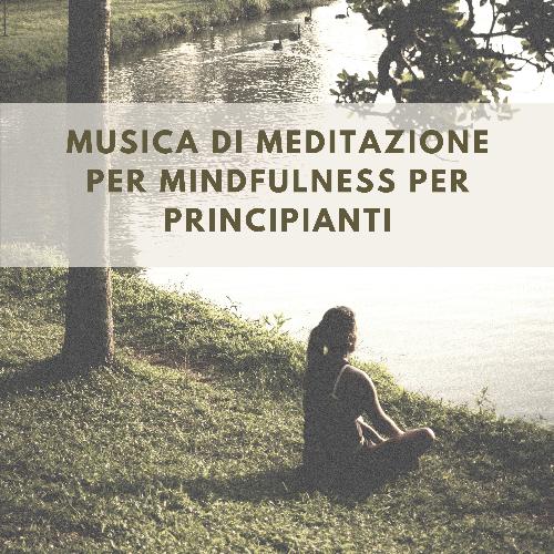 Meditazione zen cover art