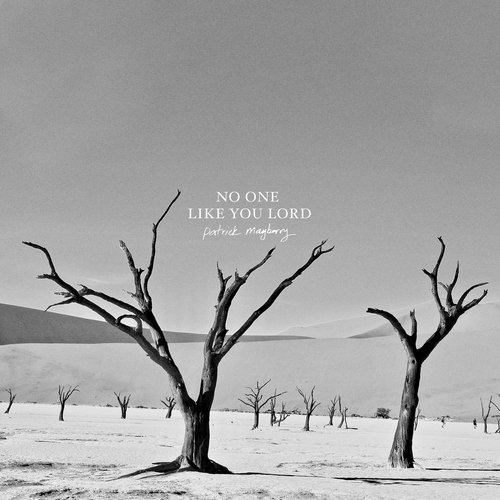 No One Like You Lord (Acoustic)_poster_image