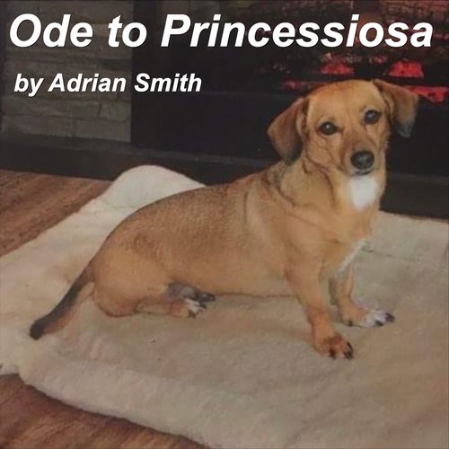 Ode to Princessiosa