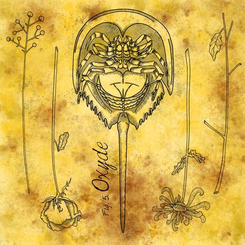 Oxyde cover art