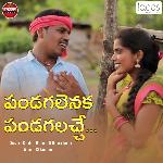 Pandugalenuka Latest Folk Song
