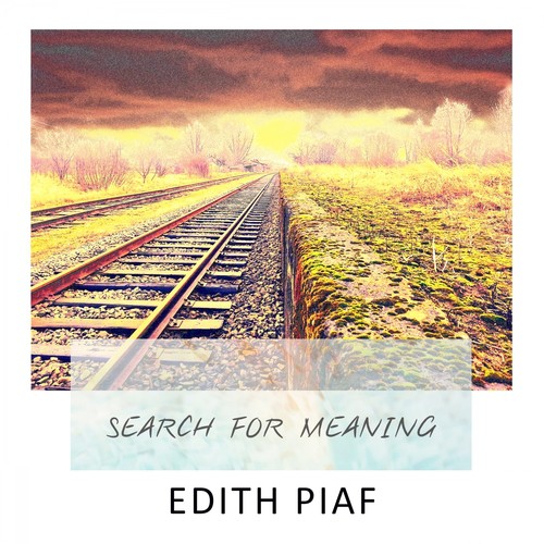 Search For Meaning