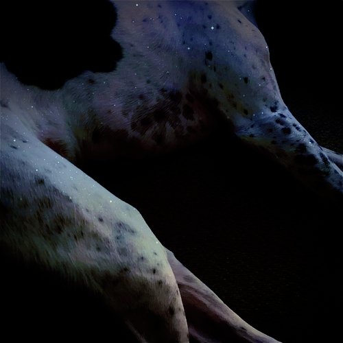 E+G+K+N+T cover art