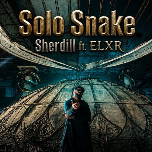 Solo Snake