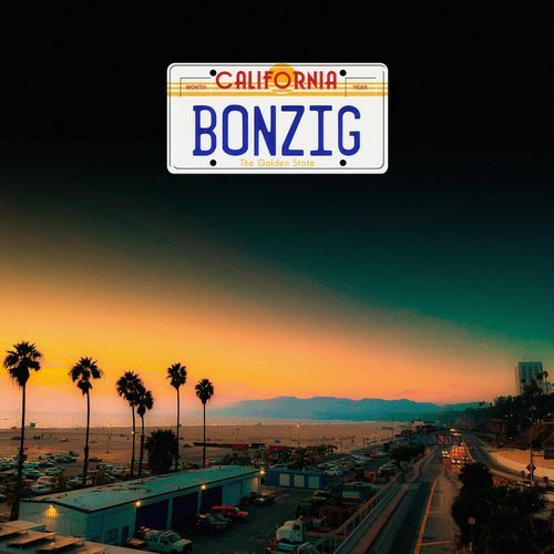 The Donner Party cover art