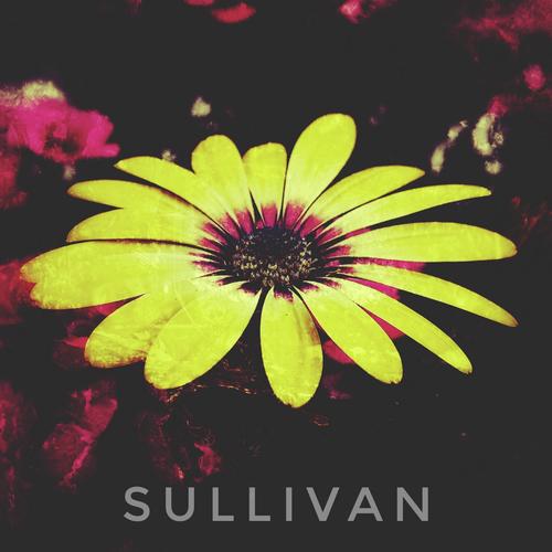 Sullivan