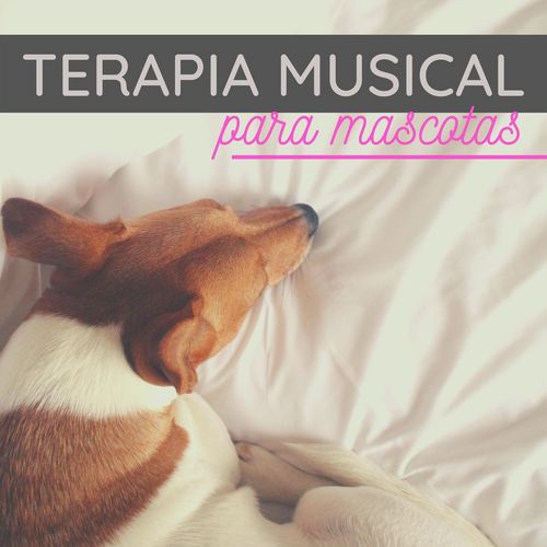 Terapia Musical para Mascotas cover art