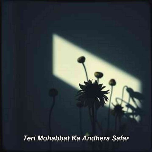 Teri Mohabbat Ka Andhera Safar