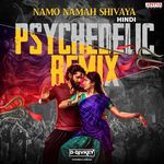 Namo Namah Shivaya Psychedelic Remix (Hindi)