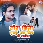 Tora Bina Ek Pal Dil Nai Lagaiy