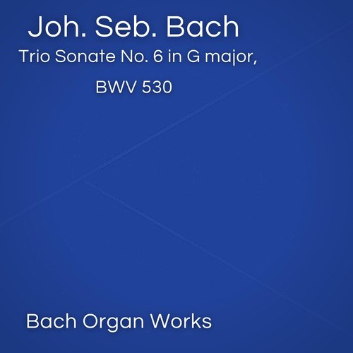 Trio Sonate No. 6 in G major, BWV 530