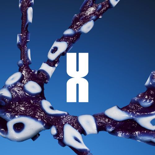 Unleash (Dj Dextro Remix) cover art