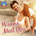 Hallo Wanna Meet You