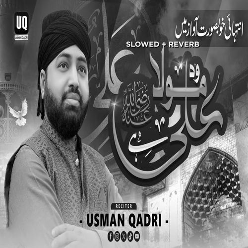Wo Mola Ali Hai (Lofi-Mix)