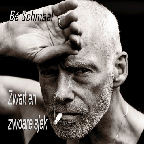 Zwait En Zwoare Sjek cover art