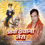 Aaya Diwana Tera