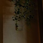 About 10 Hours of Lobotomy