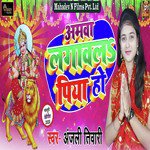 Amwa Lagal Piyawa Ho