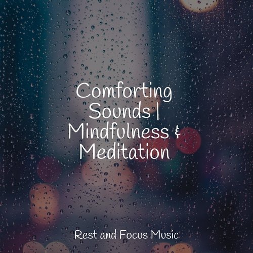 Comforting Sounds | Mindfulness &amp; Meditation_poster_image