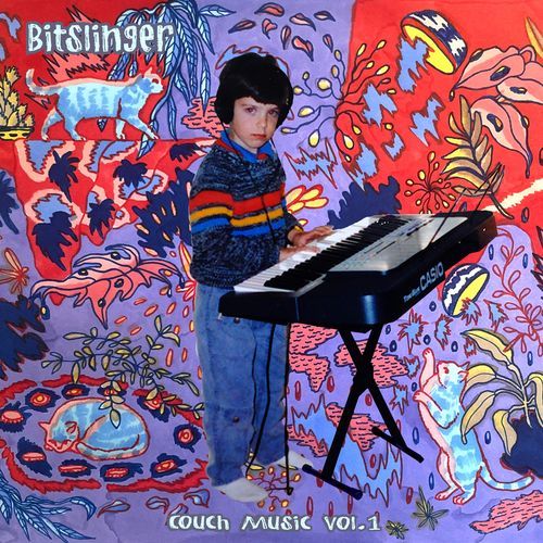 Zebras cover art