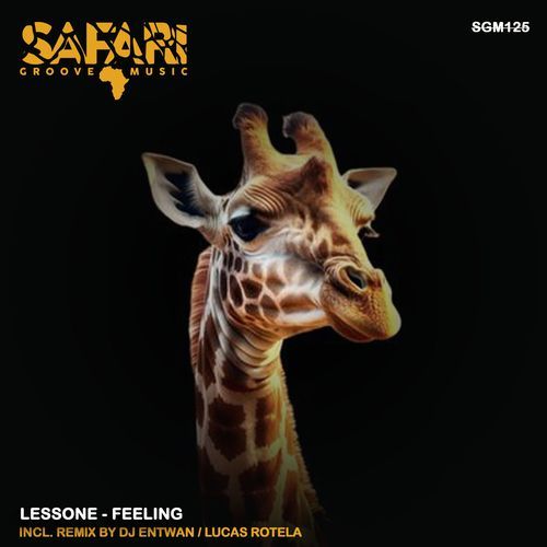 Feelings (DJ Entwan Remix) cover art