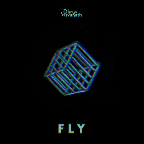 Fly