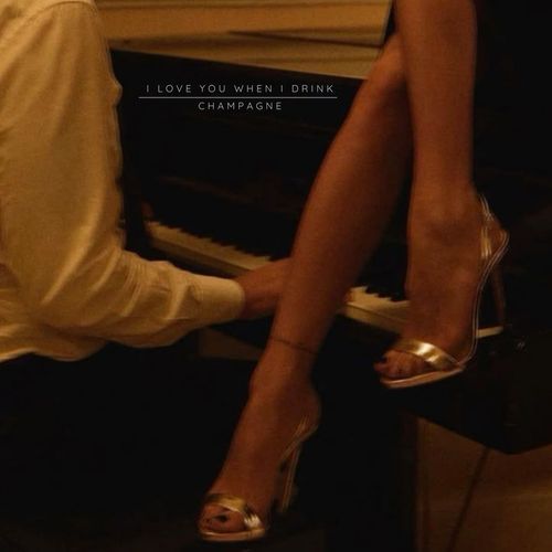 I Love You When I Drink Champagne (Felt Version)