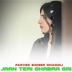 JAAN TERI GHABRA GAI