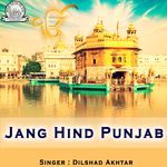 Share Punjab Deyan Fouzan artwork