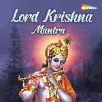 Lord Krishna Mantra