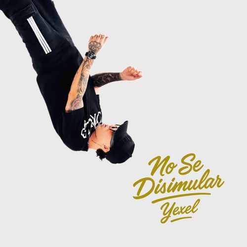 NO SE DISIMULAR